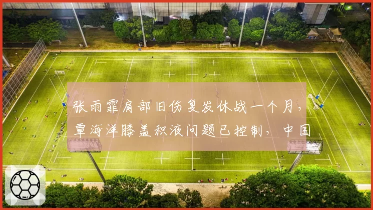 张雨霏肩部旧伤复发休战一个月,覃海洋膝盖积液问题已控制,中国泳军备赛节奏冷热对比
