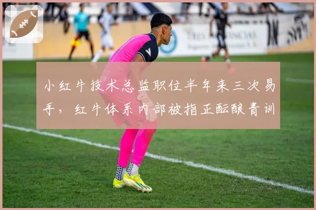 小红牛技术总监职位半年来三次易手，红牛体系内部被指正酝酿青训技术主管新编制__br_