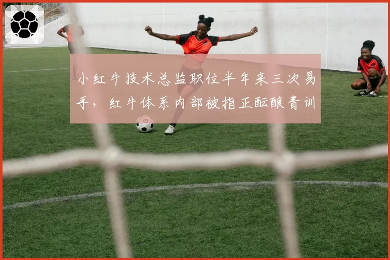 小红牛技术总监职位半年来三次易手，红牛体系内部被指正酝酿青训技术主管新编制__br_