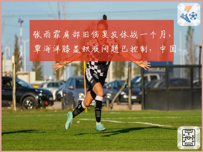 张雨霏肩部旧伤复发休战一个月,覃海洋膝盖积液问题已控制,中国泳军备赛节奏冷热对比